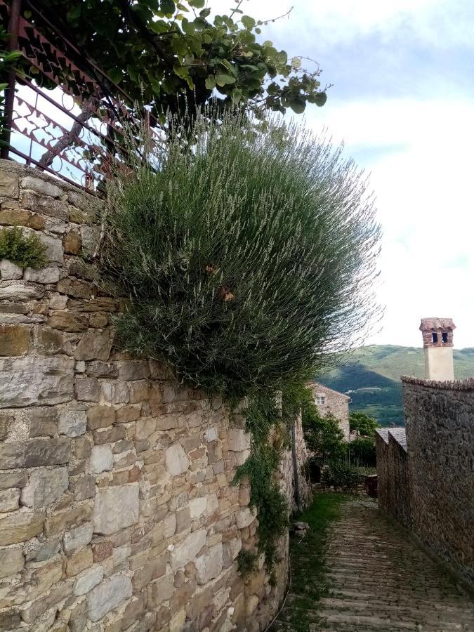 Rooms Serafin-Lavanda Motovun Exterior foto