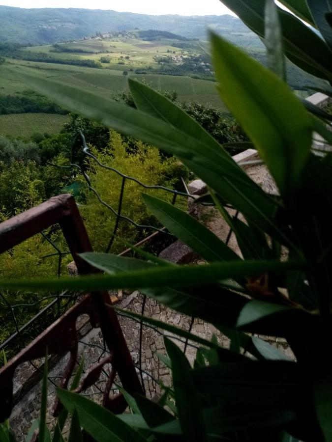 Rooms Serafin-Lavanda Motovun Exterior foto